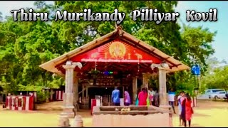 Thiru Murikandy Pilliyar Kovil Killinochchi||Srilanka🇱🇰