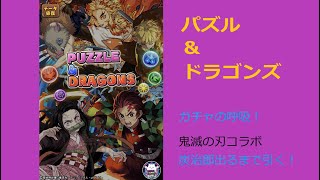 パズドラ 鬼滅の刃コラボガチャ！ 炭治郎出るまで引く！【1028】