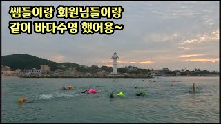 수력6개월인 사람들 바다수영 한 이야기 - 하이리페움 수영장 -