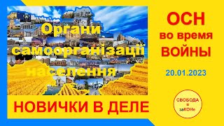 ОСН во время ВОЙНЫ. НОВИЧКИ В ДЕЛЕ. 20.01.2023