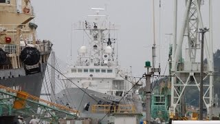 巡視船「おきなわ」訓練支援艦「てんりゅう」　平成２７年５月１１日