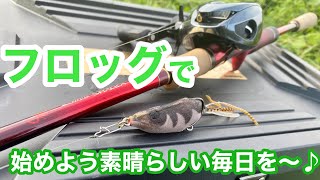 【バス釣り】フロッグで始めよう素晴らしい毎日を