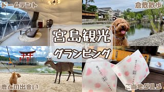 やっと行けました…！愛犬との広島旅行🐶 【犬と旅行】