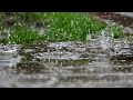 大自然の搖籃曲~「雨神同行 鋼琴篇」