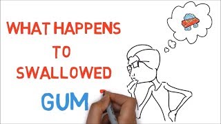 What Really Happens When You Swallow Gum?