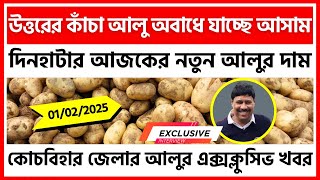 01/02/2025 : দিনহাটার আজকের নতুন আলুর দাম | New Potato Price in Dinhata - India Potato News