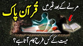 Quran Majeed Marne K Bad Mayaat Ky Kis Tarha Kam Ata Hai | Quran Ka Qabar Ka Mojza | Hadi Tv