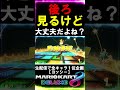 【マリカー】生配信で全キャラ１位企画ヨッシー！　 shorts