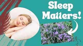 Pregnancy Sleep Problems & INSOMNIA| Midwife Recommendations and Remedies for Better Sleep