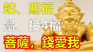 生肖蛇，生肖鼠，一窝发财，屬蛇人觀音菩薩賜福，屬鼠人2024年接四福，屬蛇人九运离火賺錢，2024生肖蛇運勢分析、龍年蛇生肖，鼠生肖賺錢發財，生肖蛇接福賺錢橫財，十二生肖，阿南德，往期視頻直播