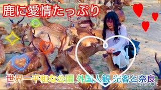 鹿に愛情たっぷり世界一平和な公園 外国人観光客 と奈良 Nara deer park japan #奈良公園 #narapark