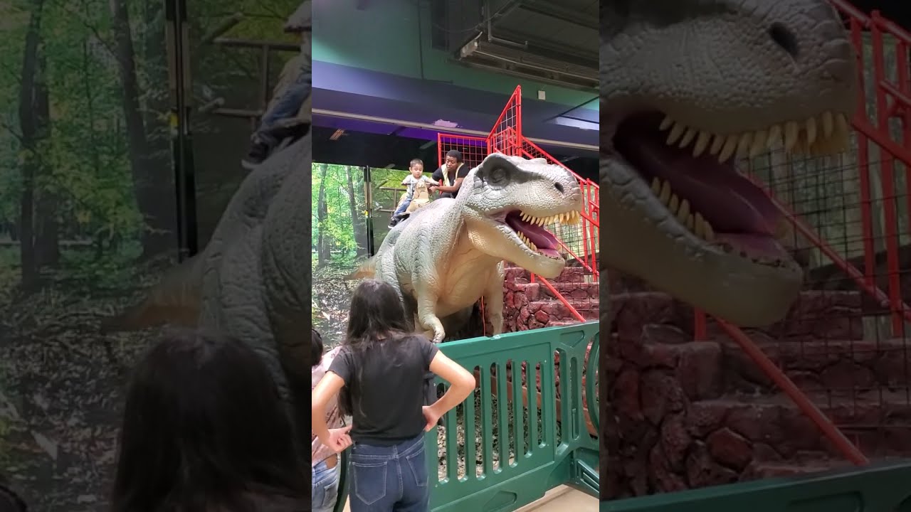 Dinosaur Youtube Dinosaur Youtube