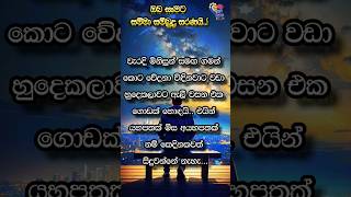 ඔබ ඇයි ඉහළ කම්පන සංඛ්‍යාතයක් සහිත මිනිසුන් ආශ්‍රය කළ යුත්තේ...🙏🙏🙏🌼🌼🌼🪷🪷🪷#####youtubeshorts