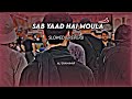 sab yaad hai moulaع. ali shanawar noha slowed reverb