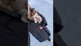 ⛸️Took My Dog Ice Skating – Here’s What Happened! 😳