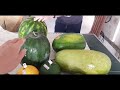 🍉 zbiór 5 pięknych odmian arbuzów harvest of watermelons 🍉 05.ix.2023r