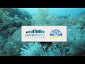 CoralZ and Envirotech Education