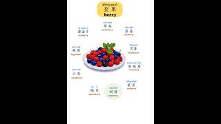 浆果｜Berry (Chinese daily phrases)