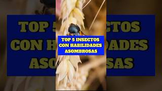 TOP 5 INSECTOS CON HABILIDADES ASOMBROSAS 🐜 #insectos #habilidades #top5 #curiosidades #shorts