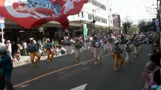 紀州よさこい連 紀風　～ザ・まつり in Izumisano 2012