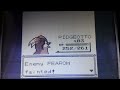 pidgeotto vs. fearow pokémon yellow