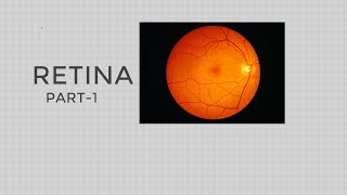 Gross Anatomy of Retina (Part 1) Optic Disc, Macula