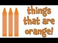 Things that are Orange | Learning Colors for Kids