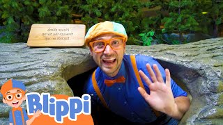 Blippi Learns At The Childrens Museum! | Fun & Educational Videos For Kids