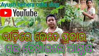 ବାଡ଼ିରେ କେତେ ପ୍ରକାର ଗଛ ଦେଖାଇଲେ ଆୟୁଷ // Ayush behera odia vlog