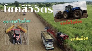 รถตัดอ้อย CASA IH A8010 ทีมงานโชคสีวิจิตร EP 317