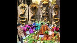 Nag Panchami Puja