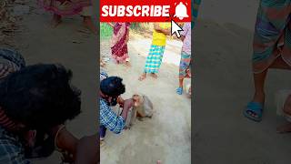 বান্দর যখন ভবিষ্যৎ দেখে #বান্দর #trending #shorts #jotish #viral #explore #funny #ipl #জতিশি #tiktok