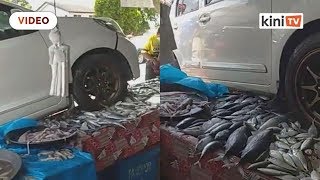 Peniaga terpaksa buang 60kg ikan, sotong gara-gara Myvi langgar gerai