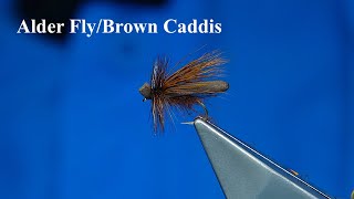 Tying a Foam Alder Fly/Brown Caddis with Davie McPhail