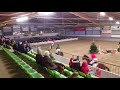 springquadrille weihnachten 2017