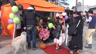 子どもも大人も仮装でハロウィン！小樽堺町通り