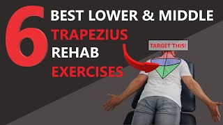 6 BEST Science-Based Lower & Middle Trapezius Rehab Exercises!