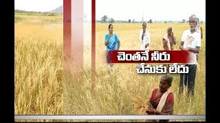 Jaikisan TS | 13th May '20 | సరస్సు నిండా నీరున్నా   రైతు కళ్లల్లో కన్నీరే