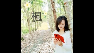 周杰倫《楓》吉他彈唱(cover by 柯真)