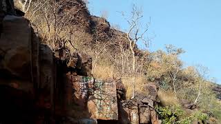 Shreeshaila ..nallamalla tiger reserve forest..bheemana kolla