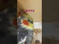 遊び疲れて眠る〜おやすみ❤️