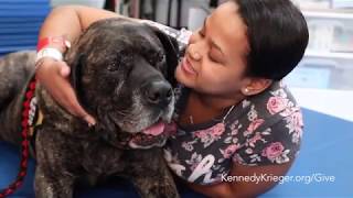 For This Child - Kaitlyn I Kennedy Krieger Institute