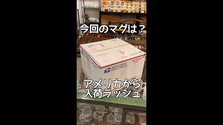 【レアマグ】ファイヤーキングより貴重かも #shorts