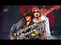 Aerosmith - Fly Away From Here - Tinley Park 2001