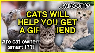 Benefits of Having a Cat  | Pros and Cons of having a Cat 2020