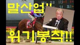 경마 산업 위기 봉착!!!코로나와 도산위기