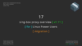 17 sing-box proxy overview - migration