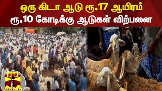 ஒரு கிடா ஆடு ரூ.17 ஆயிரம் ;  ரூ.10 கோடிக்கு ஆடுகள் விற்பனை - களைகட்டிய குந்தாரப்பள்ளி சந்தை