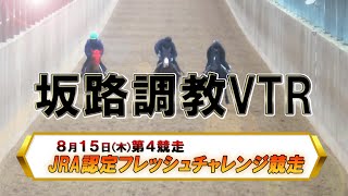 【2024坂路調教映像】8/15（木）　第4競走　JRA認定フレッシュチャレンジ競走