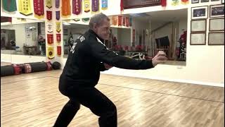 Kung Fu Pak Mei 白眉 Gow bo toi (nine step push)